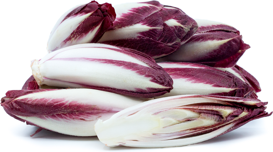 Red Belgian Endive picture