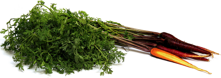 Baby Maroon Bunch Carrots picture