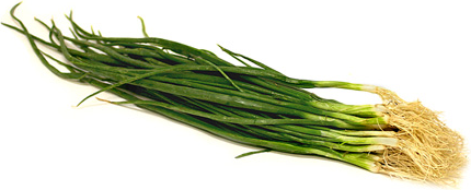 White Scallions picture