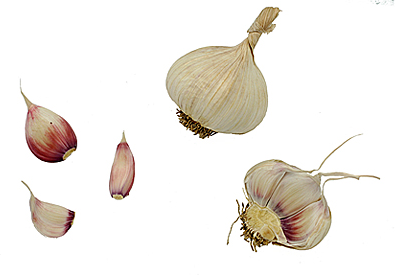 Portuguese garlic picture