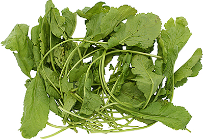 Persian Watercress picture