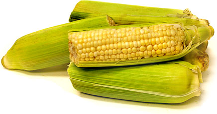 Bi Colored Corn picture