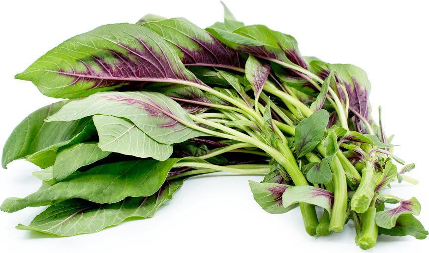 Chinese Spinach picture