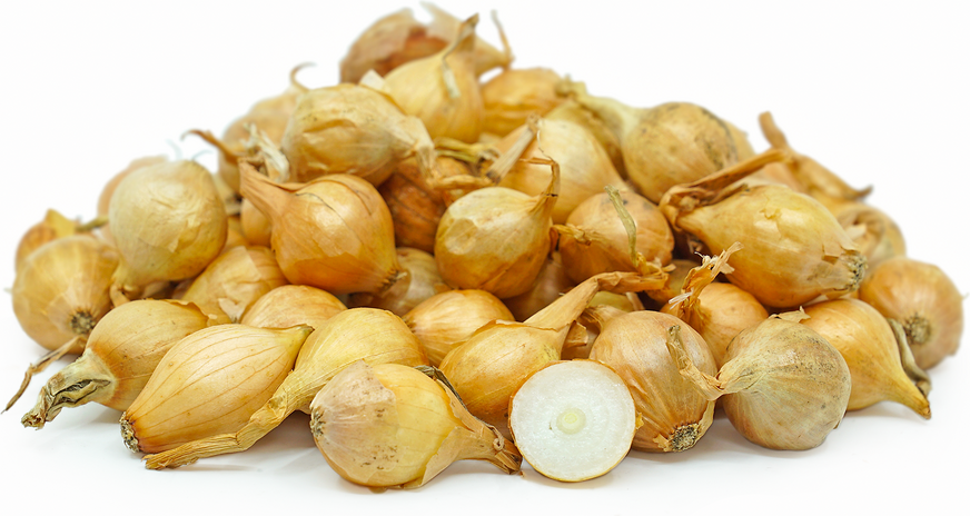 Gold Pearl Onions picture