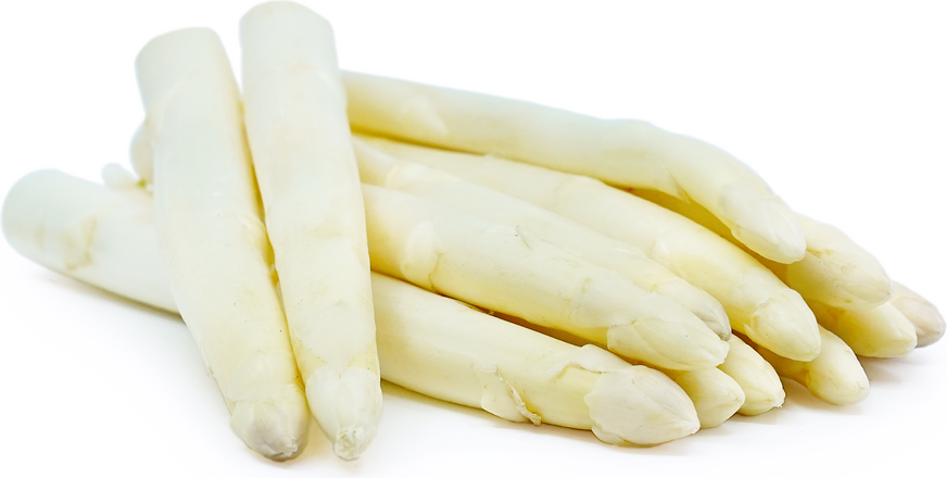 White Asparagus picture