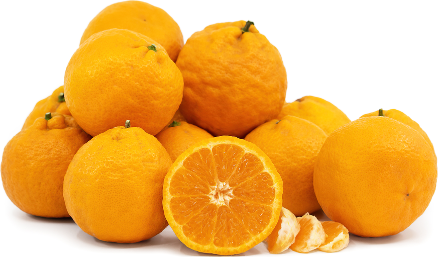 Pixie Tangerines picture