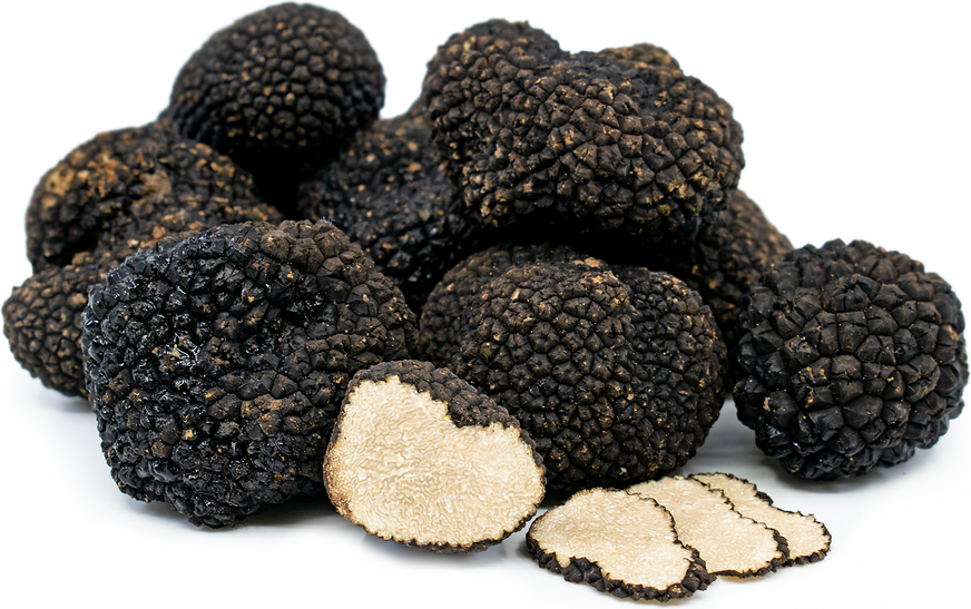 Italian Black Summer Truffles picture