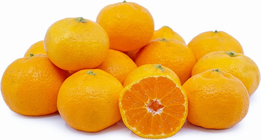 Satsuma Tangerines picture