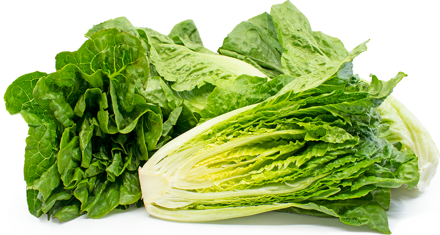 Romaine Lettuce picture