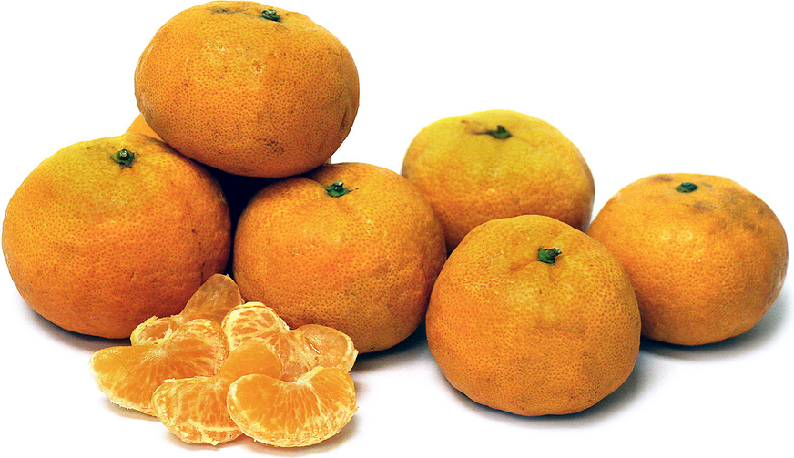 Gold Nugget Tangerines picture