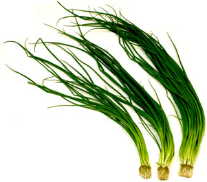 Green Onion Chives picture