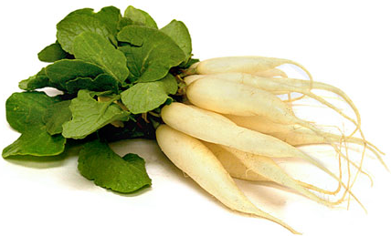 White Icicle Radishes picture