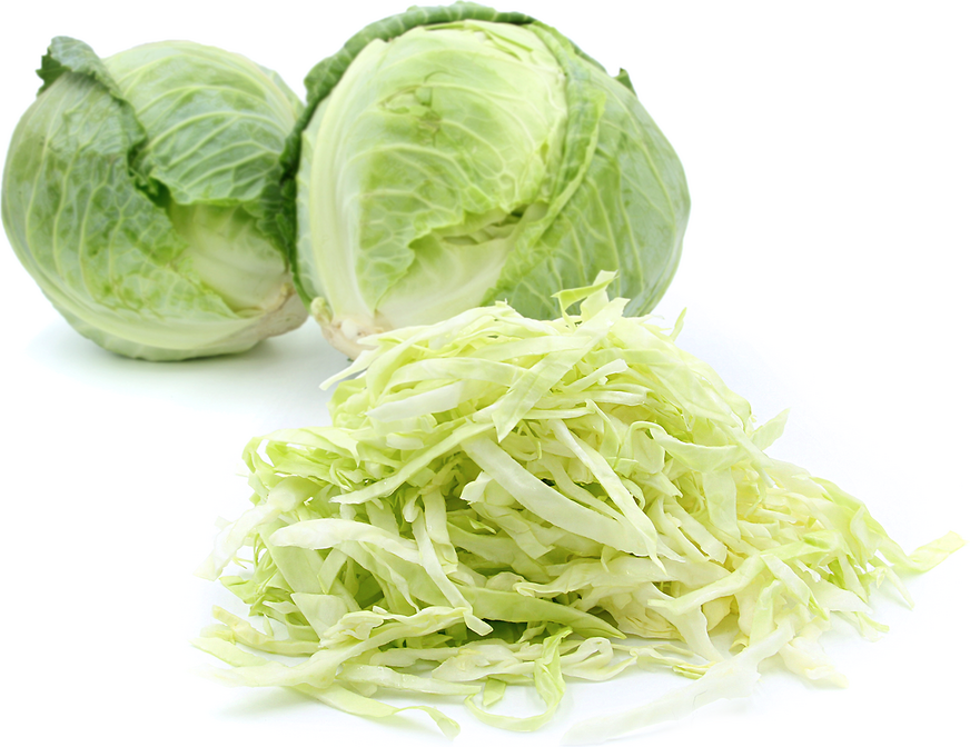 Shredded Green Cabbage picture