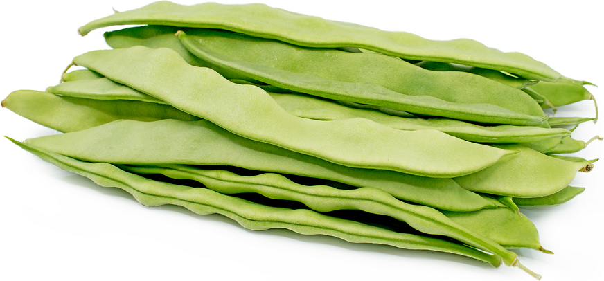 Green Romano Beans picture