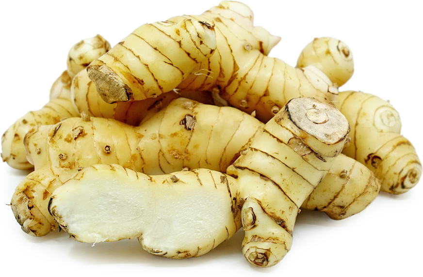 Galangal Root picture