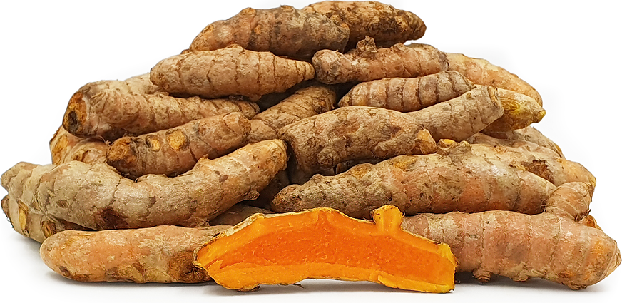 Turmeric Root picture
