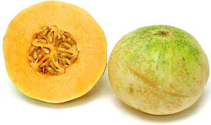 Butterscotch Melon picture