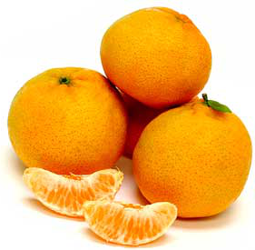 Mandarin Lee Tangerines picture