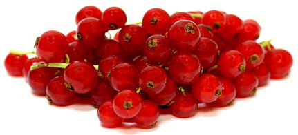 Red Currants picture