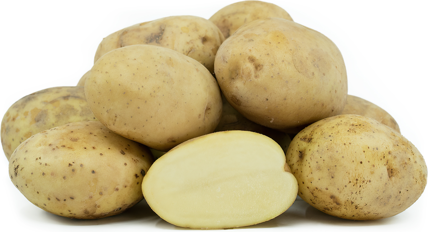 Kennebec Potatoes picture