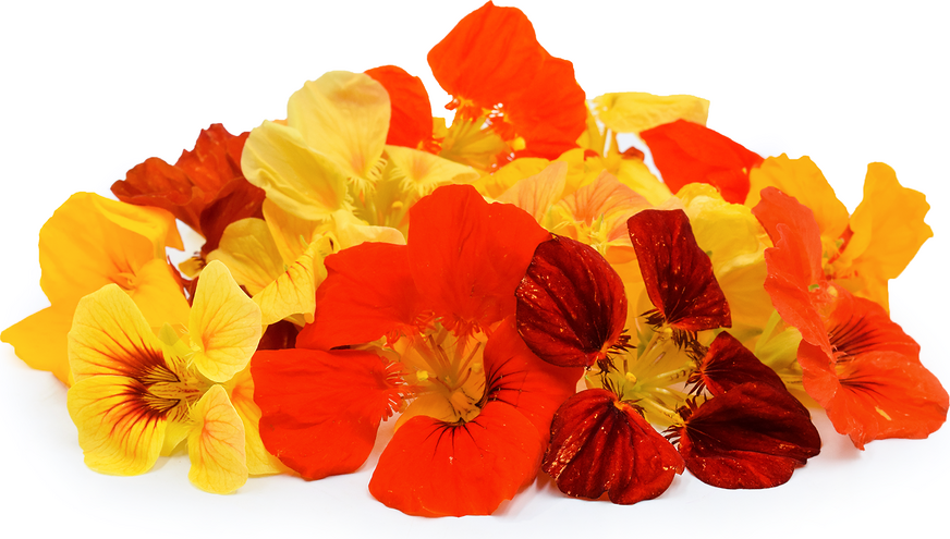 Nasturtiums Flowers picture