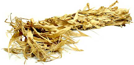 Corn Stalks picture