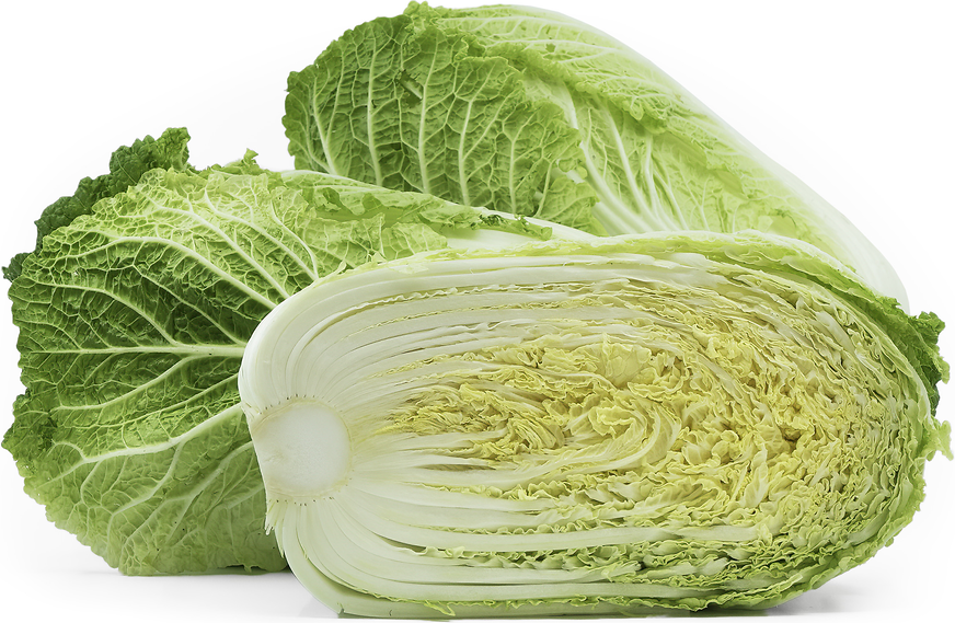 Napa Cabbage picture