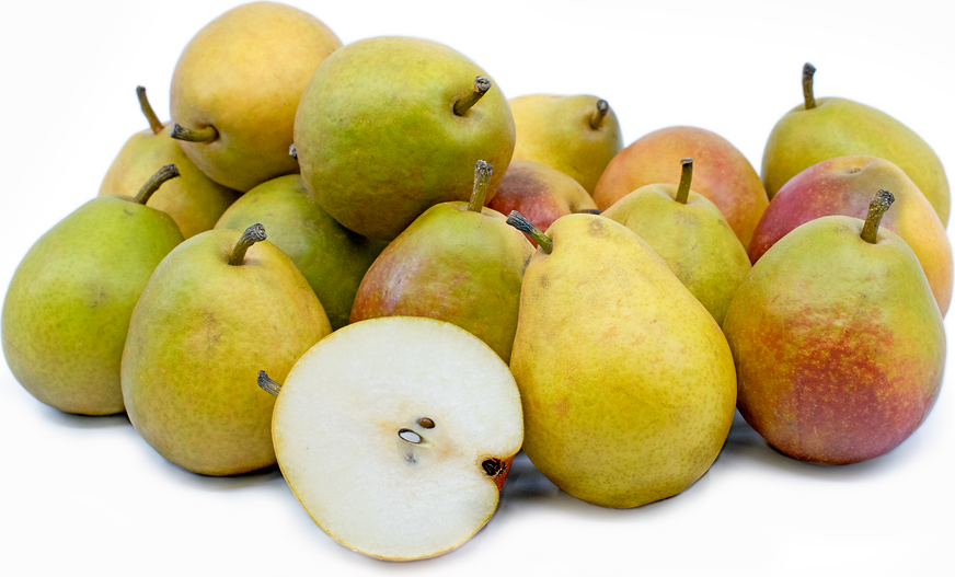 Seckel Pears picture
