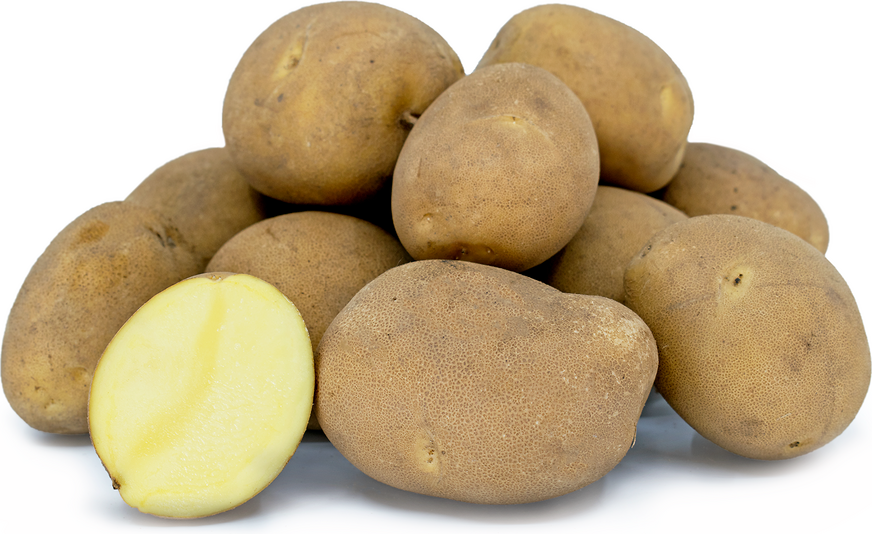 Sierra Gold Potatoes picture