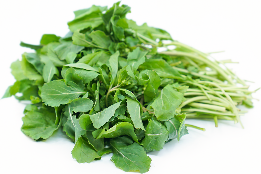 Arugula picture