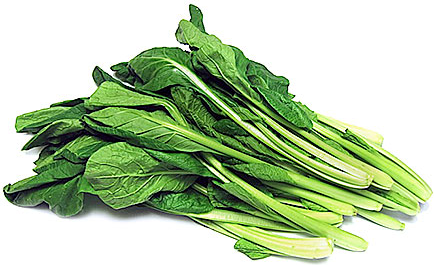 Chinese Cabbage picture