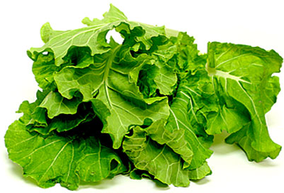 Escarole picture