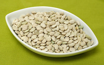 White Tepary Shelling Bean picture