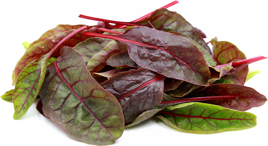 Baby Red Swiss Chard picture