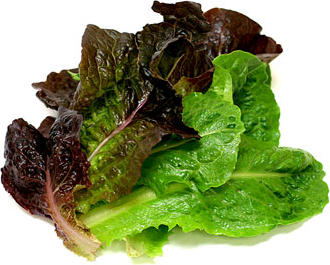 Lettuce Mix picture