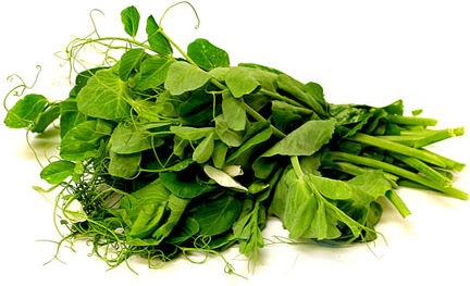 Pea Tendrils picture