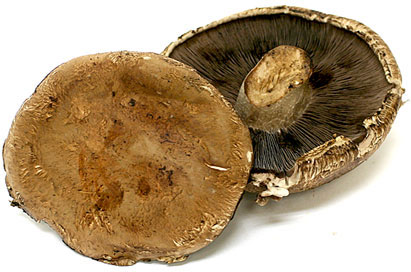 Portabella Mushrooms picture