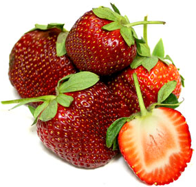 Camarosa Strawberry picture
