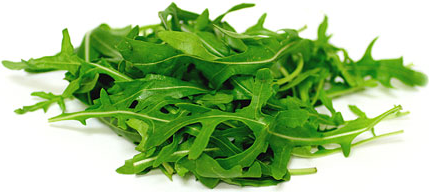 Arugula Rustic picture