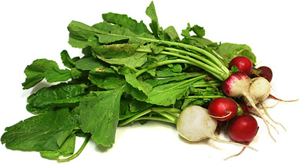 Mixed Colored Radishes picture