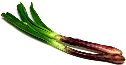 Red Spring Onions picture