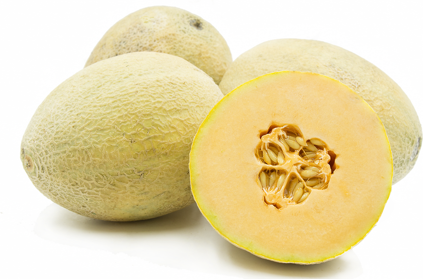 Cantaloupe picture