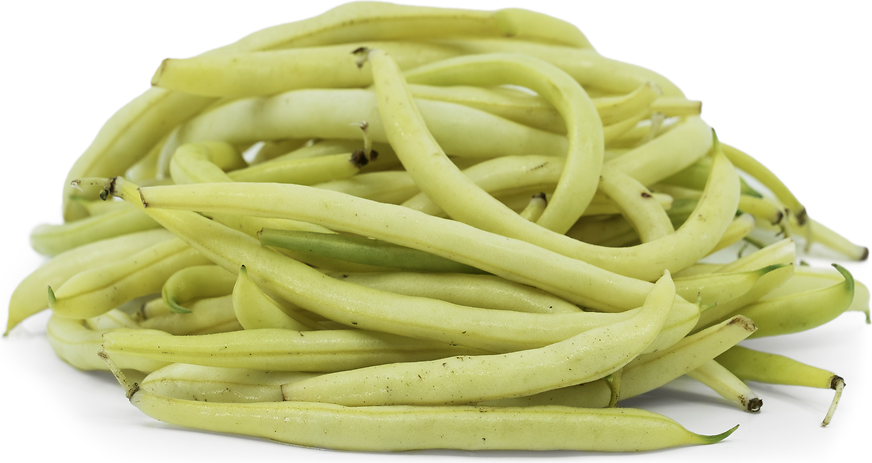 Yellow Wax Beans picture