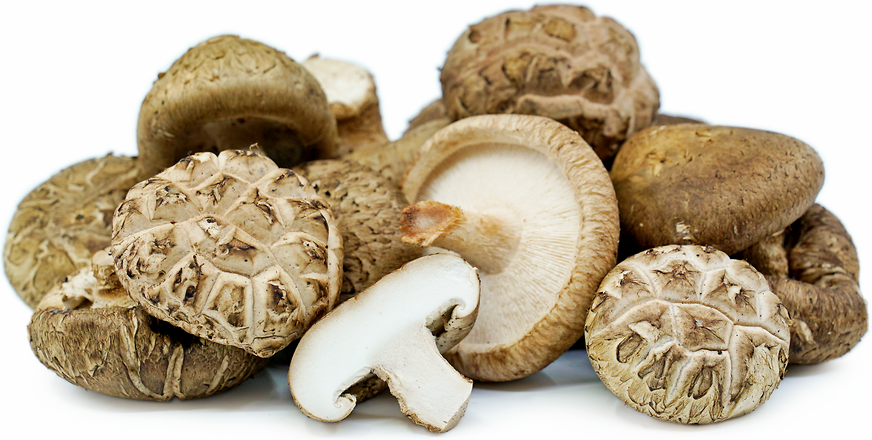 Shiitake Mushrooms picture