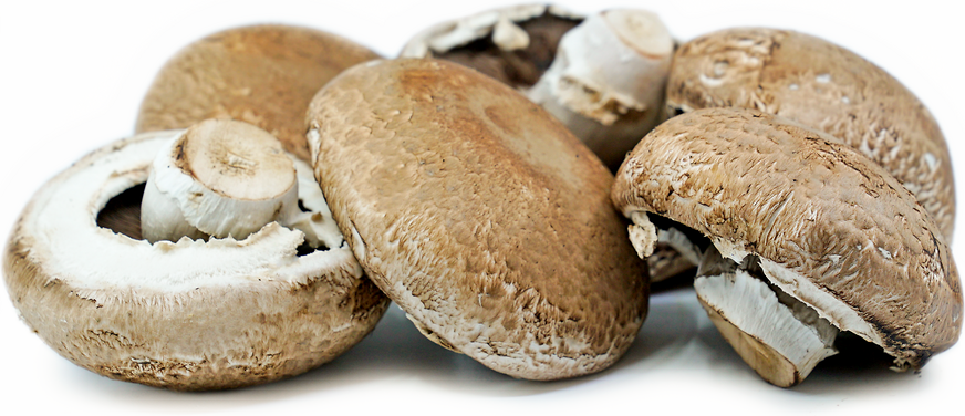 Portobello Mushrooms picture