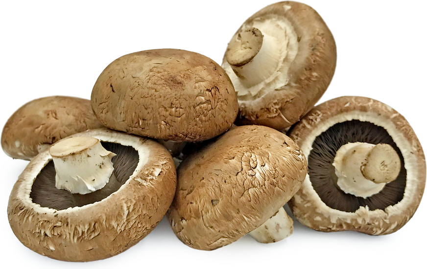 Portobellini Mushrooms picture