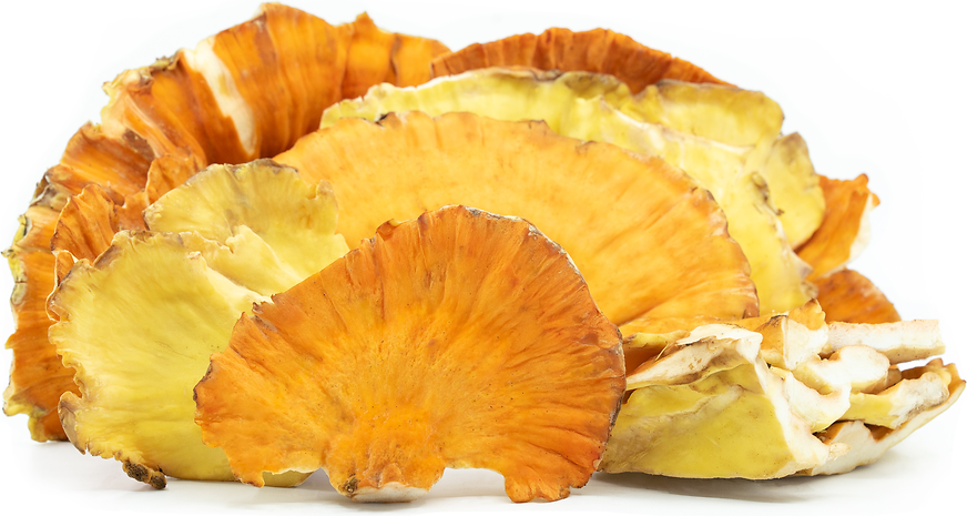 Chicken of the Woods Mushrooms Information, Recipes and Facts