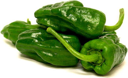 Padron Chile Peppers picture