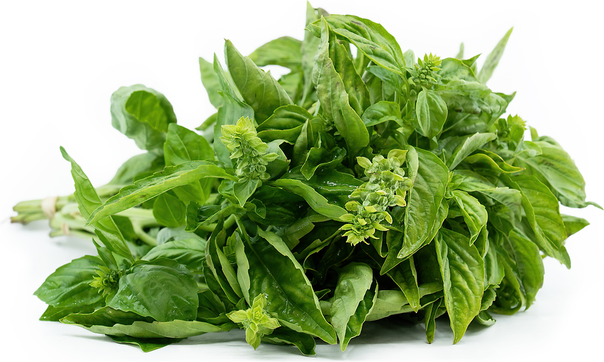 Basil picture