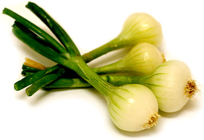 Onions Spring Baby Mix picture